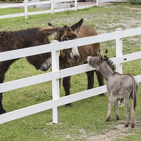 Garni Lavendelhof Ξενοδοχείο Nauen