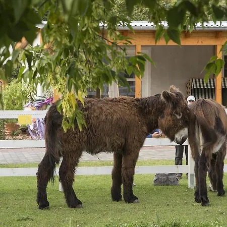 Garni Lavendelhof Ξενοδοχείο 3*