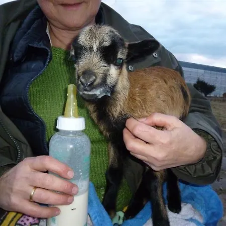 Garni Lavendelhof 3*