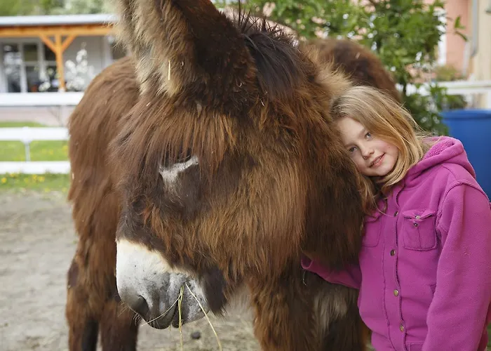 Garni Lavendelhof فندق ناون
