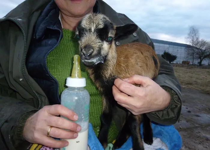 Garni Lavendelhof فندق