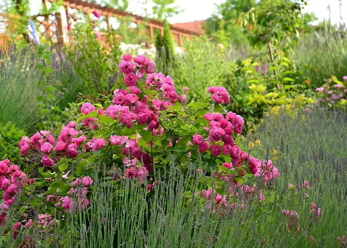 Garni Lavendelhof 3*