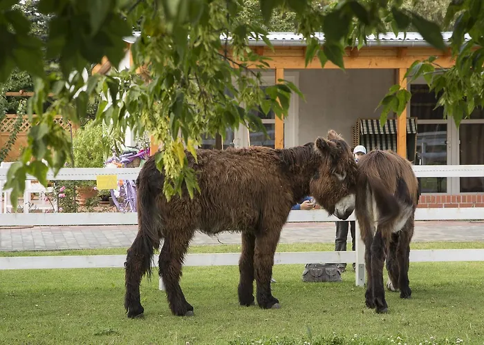 Garni Lavendelhof فندق 3*